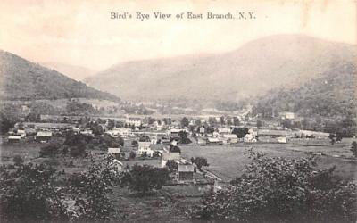 Bird's Eye View East Branch, New York Postcard