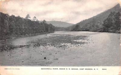 Beaverkill River East Branch, New York Postcard