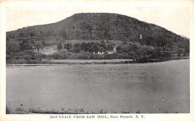 Mountain from Saw Mill East Branch, New York Postcard