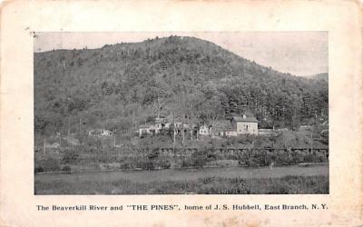 Beaverkill River & The Pines East Branch, New York Postcard