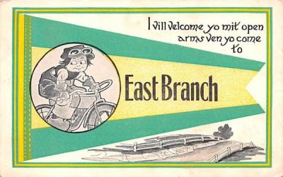 Misc East Branch, New York Postcard