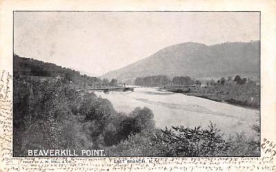 Beaverkill Point East Branch, New York Postcard