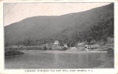 Looking Towards Old Saw Mill East Branch, New York Postcard