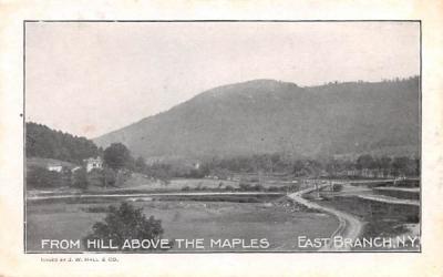 From Hill Above the Maples East Branch, New York Postcard