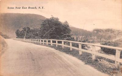 Road Scene East Branch, New York Postcard