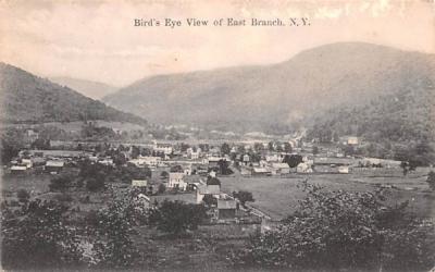 Bird's Eye View East Branch, New York Postcard