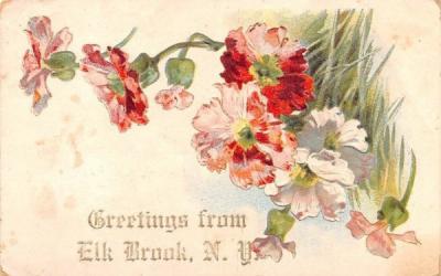 Greetings from Elk Brook, New York Postcard