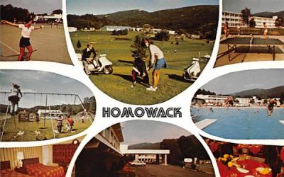 Homowack Ellenville, New York Postcard