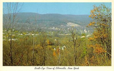 Route 52 View Ellenville, New York Postcard