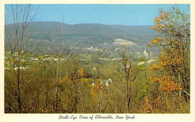 General View from Route 52 Ellenville, New York Postcard