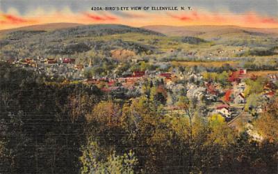 View of Ellenville, New York Postcard