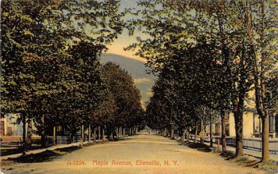 Maple Avenue Ellenville, New York Postcard