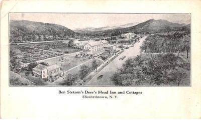 Ben Stetson's Deer's Head Inn & Cottages Elizabethtown, New York Postcard