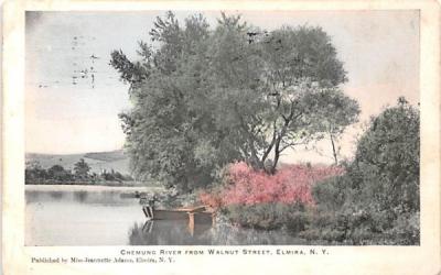 Chemung River Elmira, New York Postcard