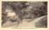 Mount Meenahga and Cottages Ellenville, New York Postcard