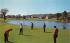 The Fallsview Golf Course Ellenville, New York Postcard