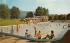 The Nevele Pool Ellenville, New York Postcard