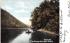 Chemung River Elmira, New York Postcard