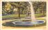 Fountain at Brand's Park Elmira, New York Postcard