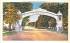 EJ Square Deal Arch Endicott, New York Postcard