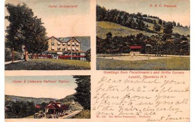 Hotel Switzherland, Ulster & Delaware Railroad Station Fleischmanns, New York Postcard