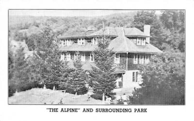 The Alpine & Surrounding Park Fleischmanns, New York Postcard