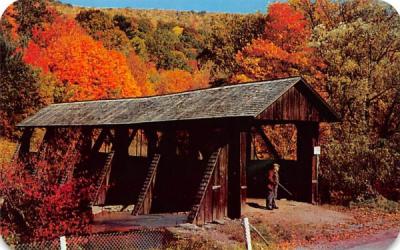 Catskill Mountain Vacationlands Fleischmanns, New York Postcard
