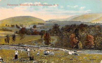 Mountain Scene Fleischmanns, New York Postcard