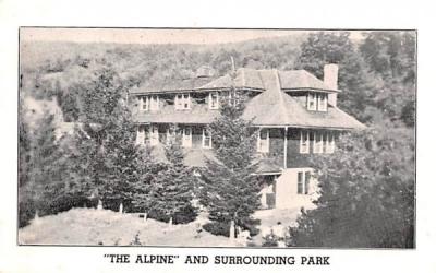 The Alpine & Surrounding Park Fleischmanns, New York Postcard