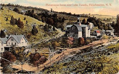 Near Lake Tuxedo Fleischmanns, New York Postcard