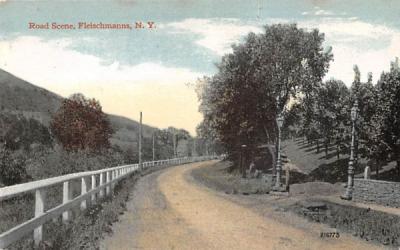 Road Scene Fleischmanns, New York Postcard