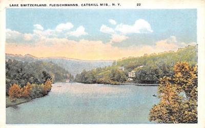 Lake Switzerland Fleischmanns, New York Postcard