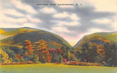 Greetings from Fleischmanns, New York Postcard