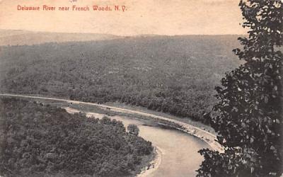 Delaware River French Woods, New York Postcard