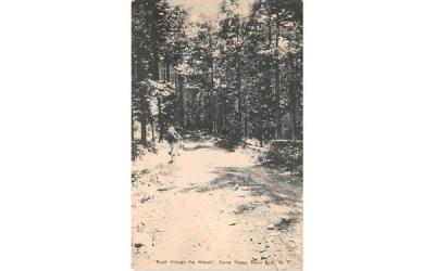 Road through the Woods Feura Bush, New York Postcard