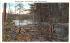 Beaver Dam Fourth Lake, New York Postcard