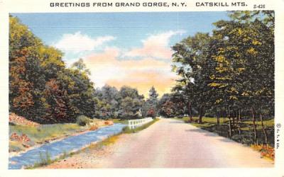 Catskill Mountains Grand Gorge, New York Postcard