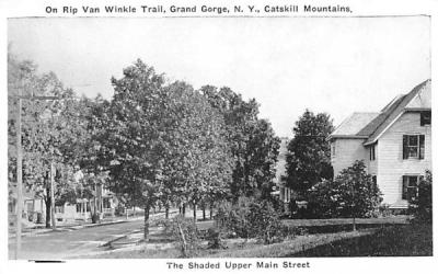 Shadded Upper Main Street Grand Gorge, New York Postcard