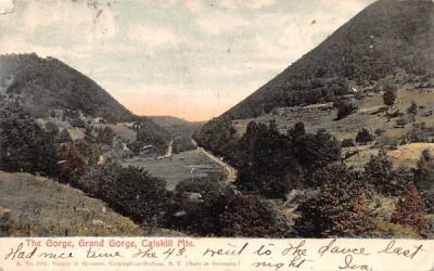 The Gorge Grand Gorge, New York Postcard
