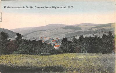 Fleischmann's & Griffin Corners Grand Gorge, New York Postcard