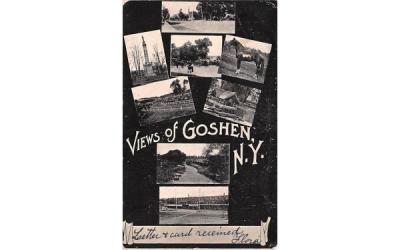 View of Goshen New York Postcard