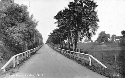Chester Road Goshen, New York Postcard
