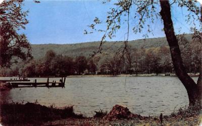 East Arm from East Shore Road Greenwood Lake, New York Postcard