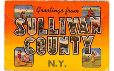 Sullivan County Greetings from, New York Postcard