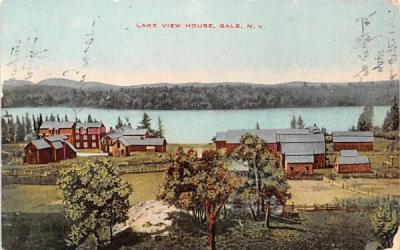 Lake View House Gale, New York Postcard