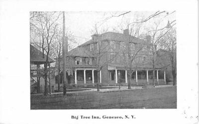 Big Tree Inn Geneseo, New York Postcard