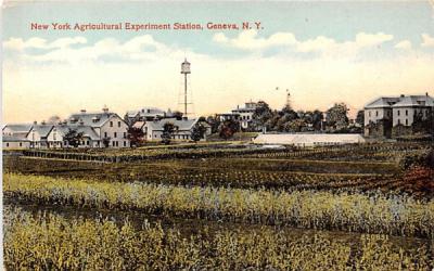 New York Agricultural Experiment Station Grounds Postcard
