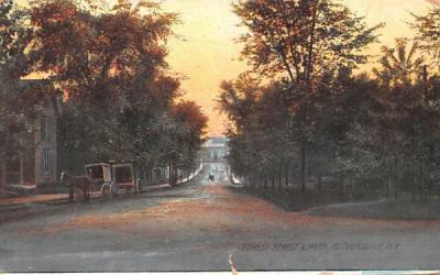 Forest Street & Park Gloversville, New York Postcard