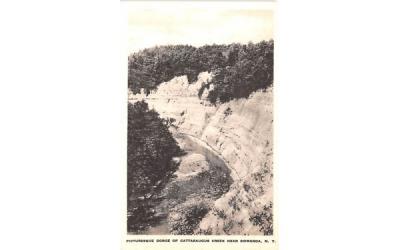 Gorge of Cattaraugus Creek Gowanda, New York Postcard