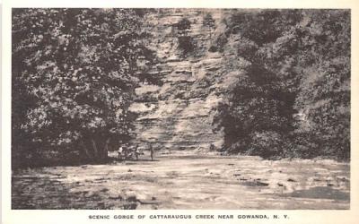 Gorge of Cattaraugus Creek Gowanda, New York Postcard